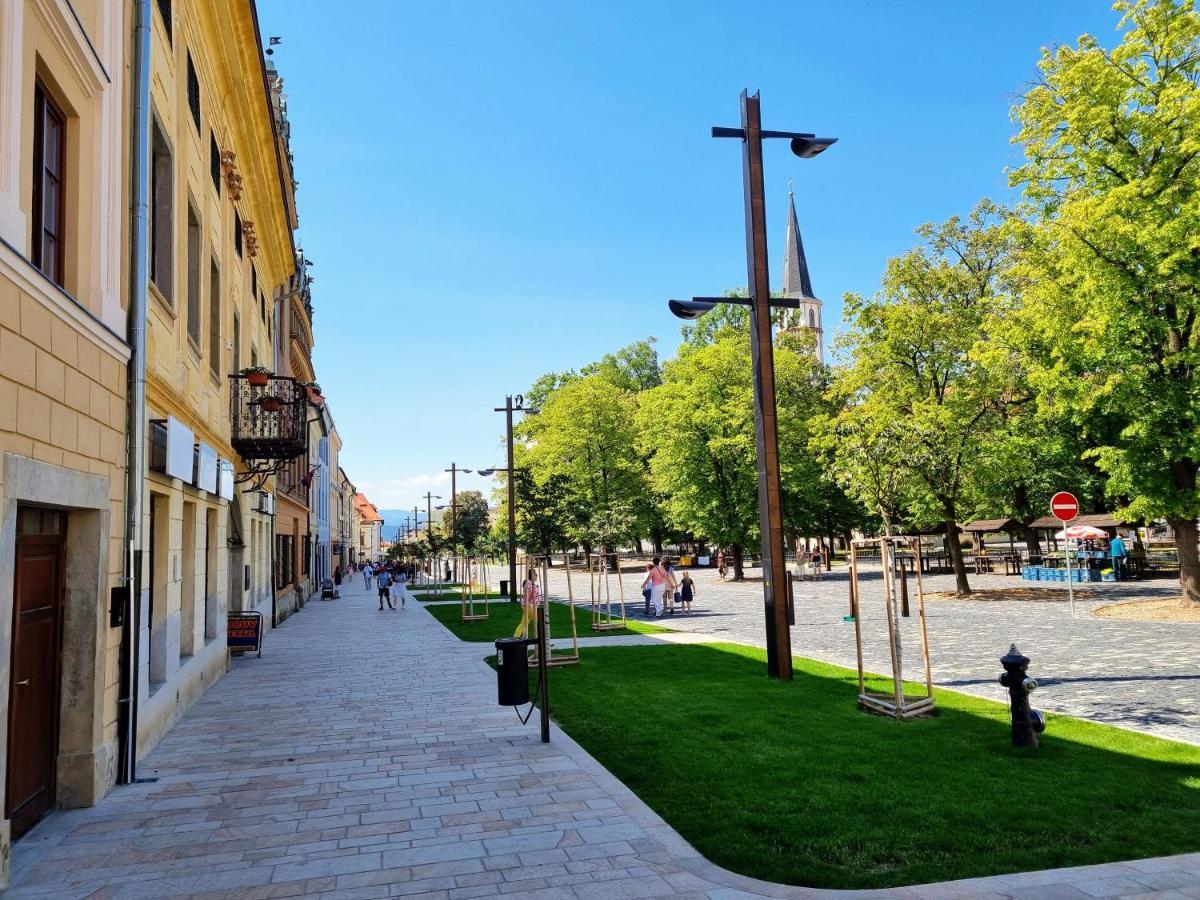 Apartment In A Historical House In The Center Of Левоча Екстер'єр фото